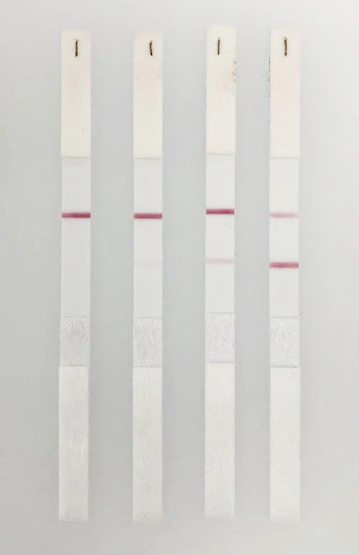 新冠病毒IgG/IgM檢測(cè)大板