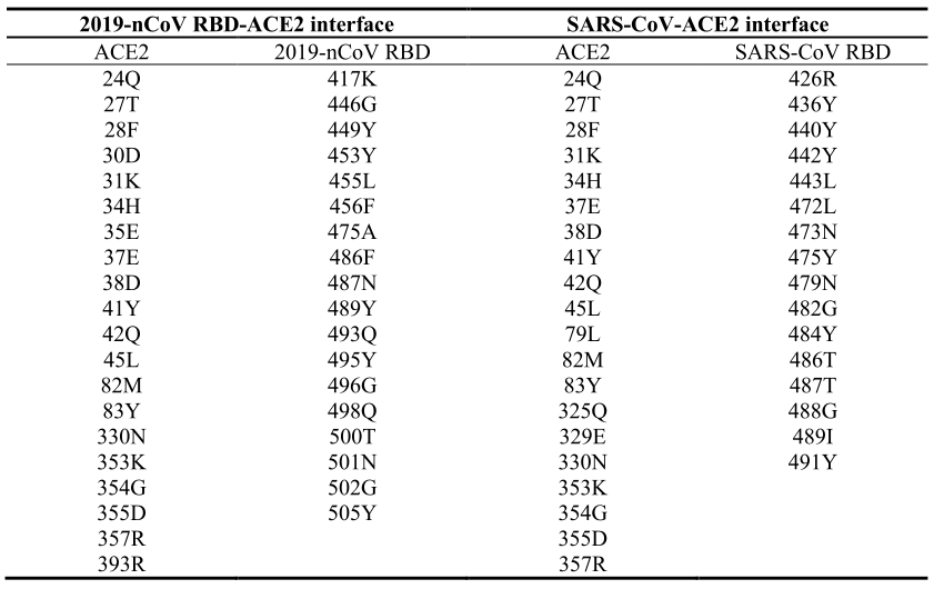 2019-nCoV RBD/ACE2和SARS-CoV RBD/ACE2的接觸殘基