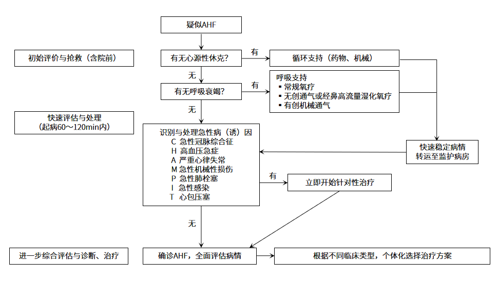 AHF患者初始評(píng)估和緊急處置流程
